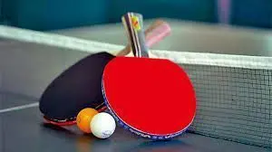 巴黎奥运会乒乓球男团1/8决赛：法国主场3-0横扫斯洛文尼亚，挺进八强！